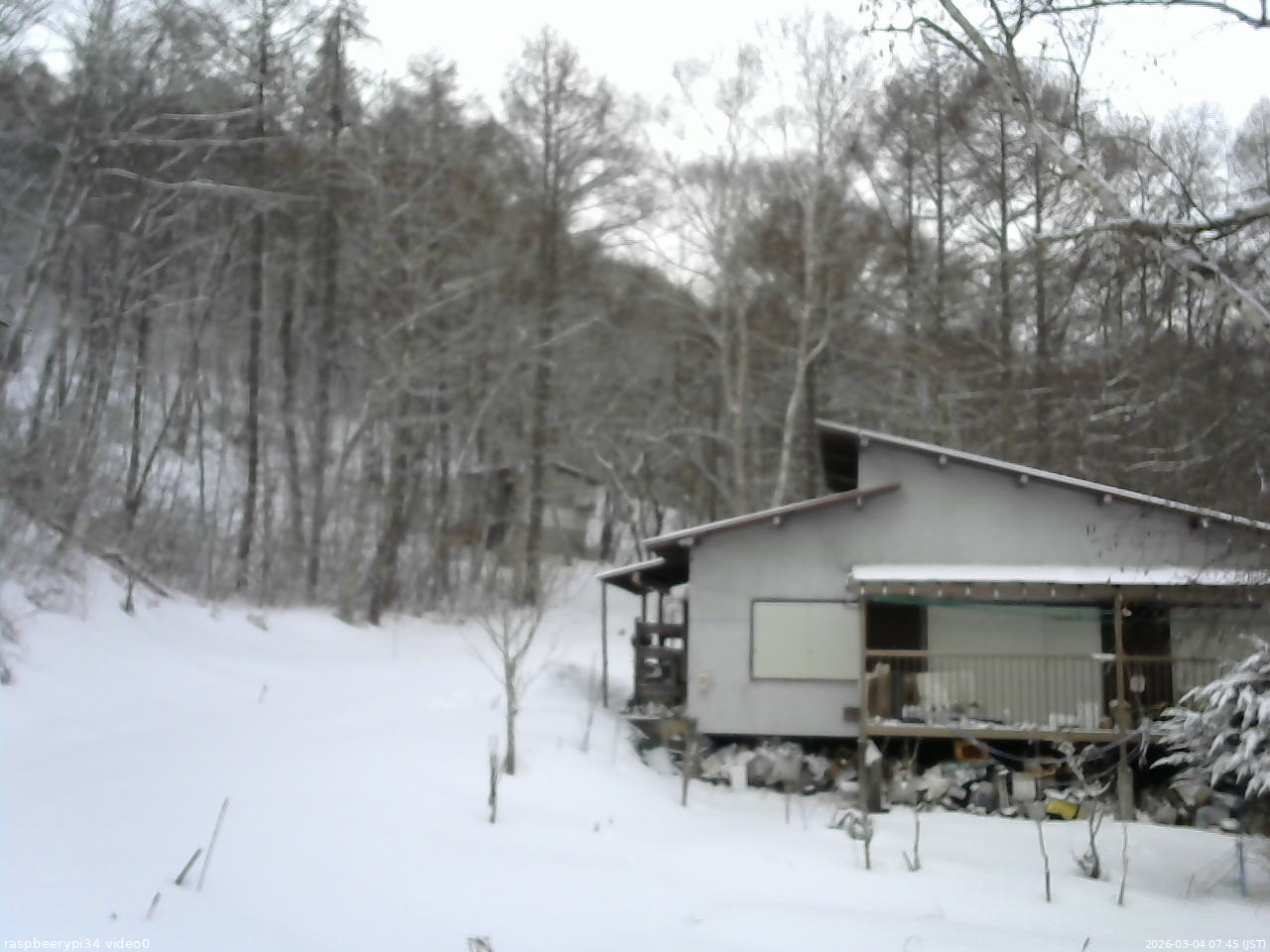 長野県菅平高原 ゆたか山荘 西側(坂上) 2026/03/04 07:45
