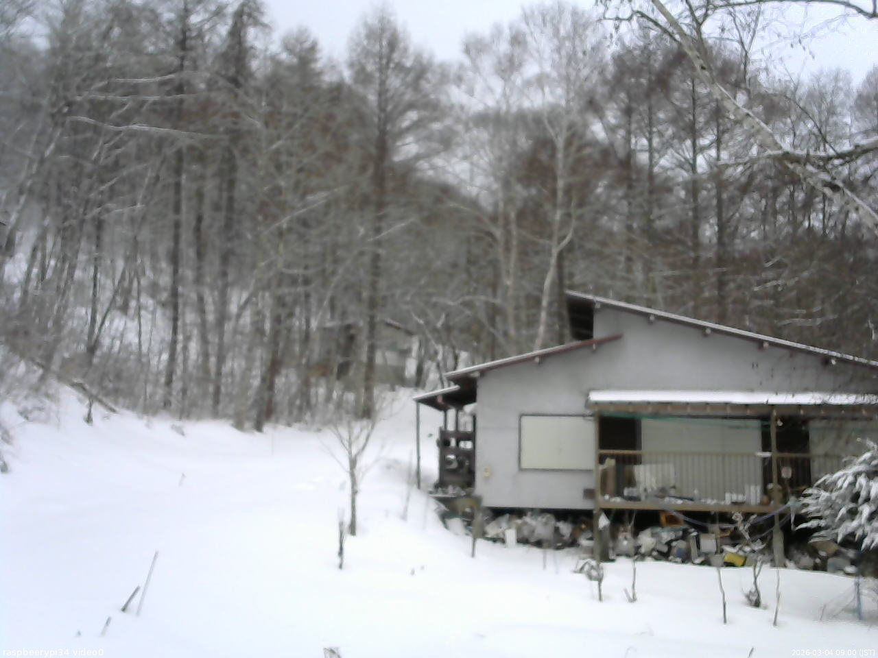 長野県菅平高原 ゆたか山荘 西側(坂上) 2026/03/04 09:00