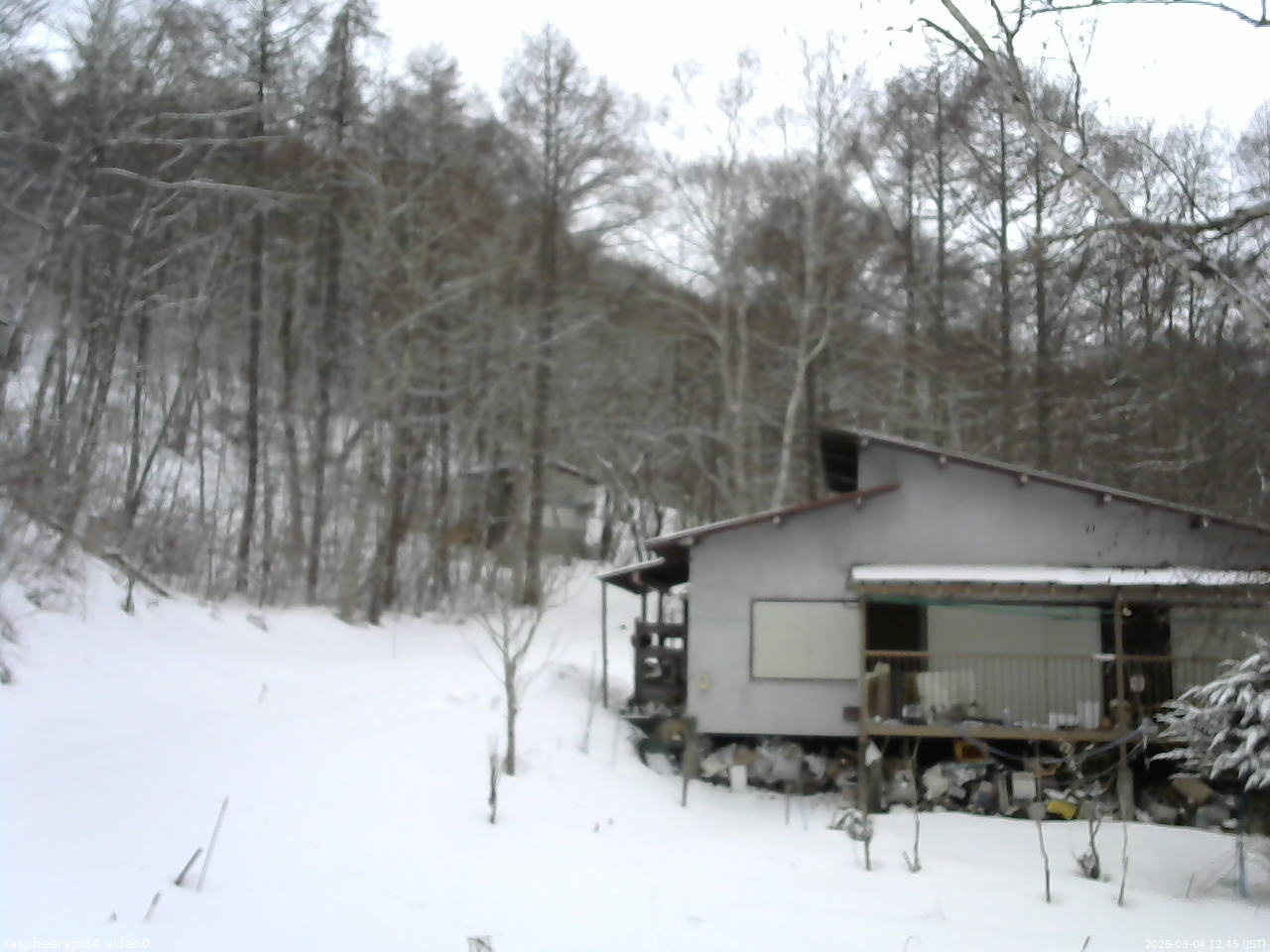 長野県菅平高原 ゆたか山荘 西側(坂上) 2026/03/04 12:45