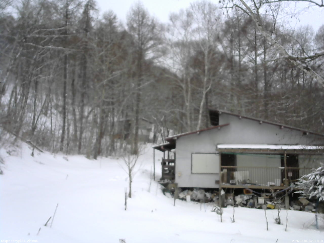 長野県菅平高原 ゆたか山荘 西側(坂上) 2026/03/04 14:00