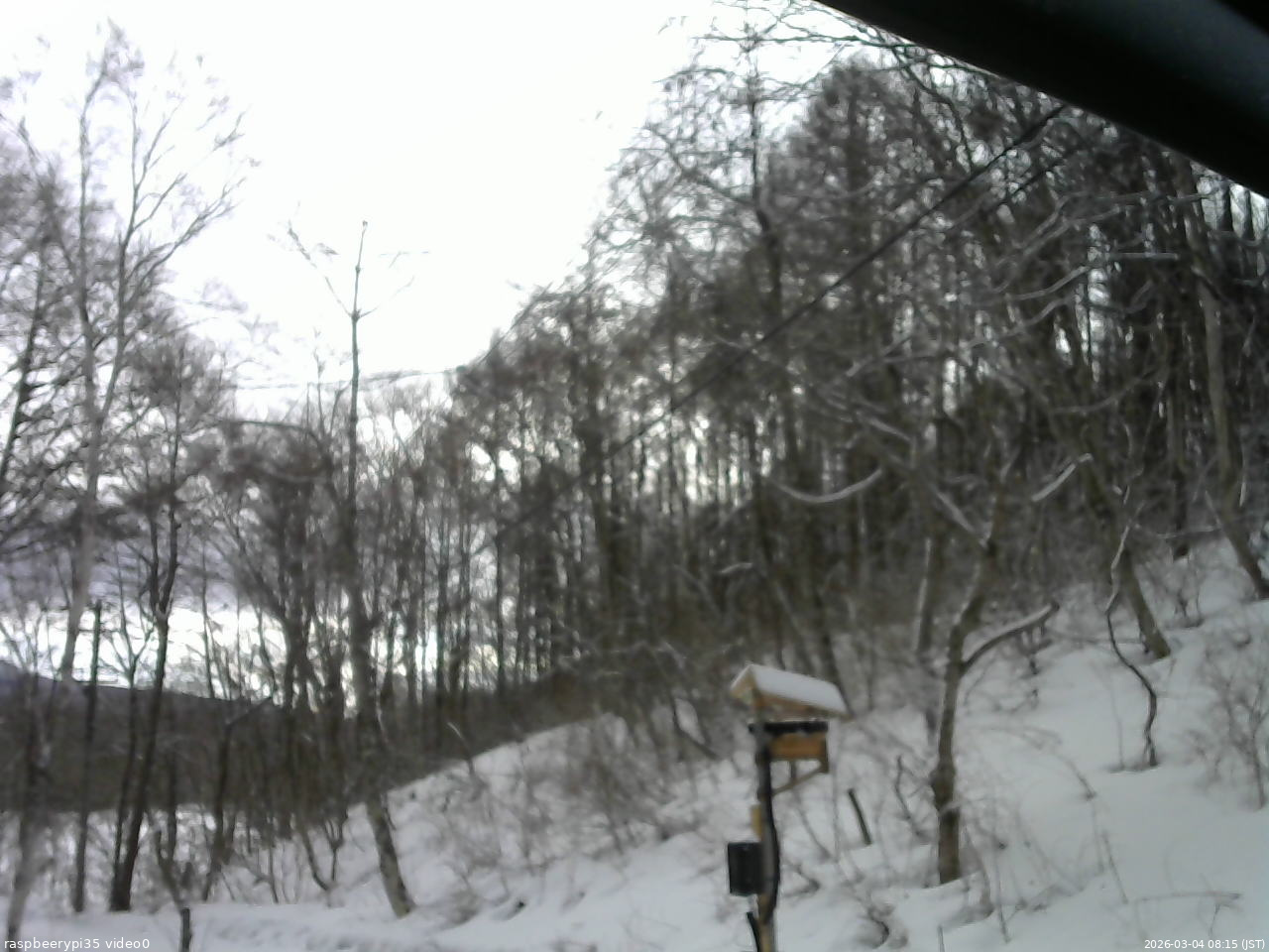長野県菅平高原 ゆたか山荘 温度計 2026/03/04 08:15