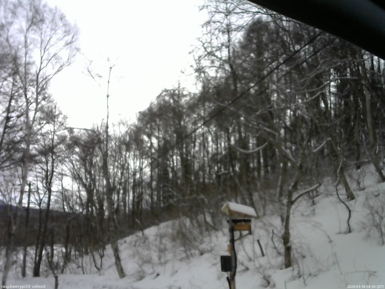 長野県菅平高原 ゆたか山荘 温度計 2026/03/04 08:30