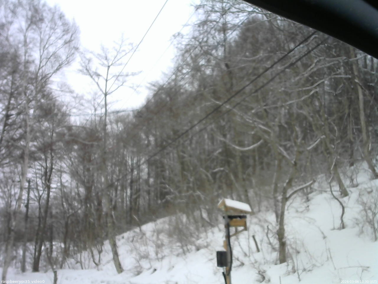 長野県菅平高原 ゆたか山荘 温度計 2026/03/04 10:30