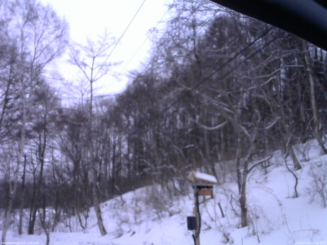 長野県菅平高原 ゆたか山荘 温度計 2026/03/04 17:45