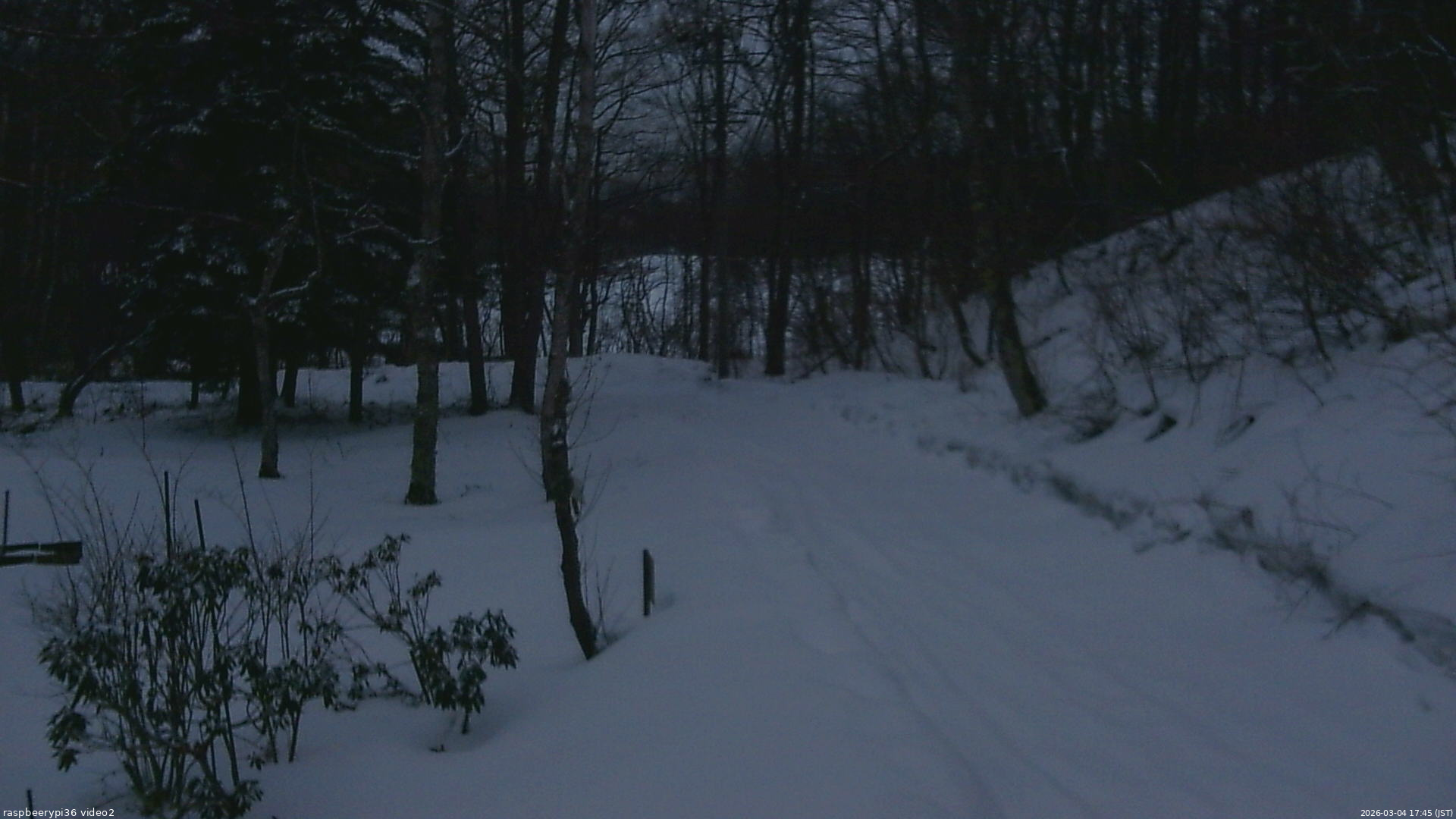 長野県菅平高原 ゆたか山荘 駐車場奥 2026/03/04 17:45