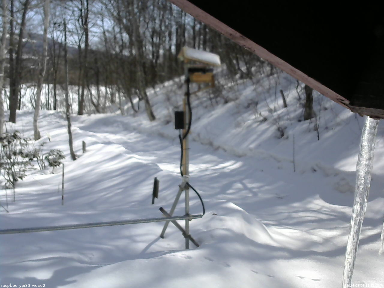 長野県菅平高原 ゆたか山荘 南側 2026/03/05 11:15