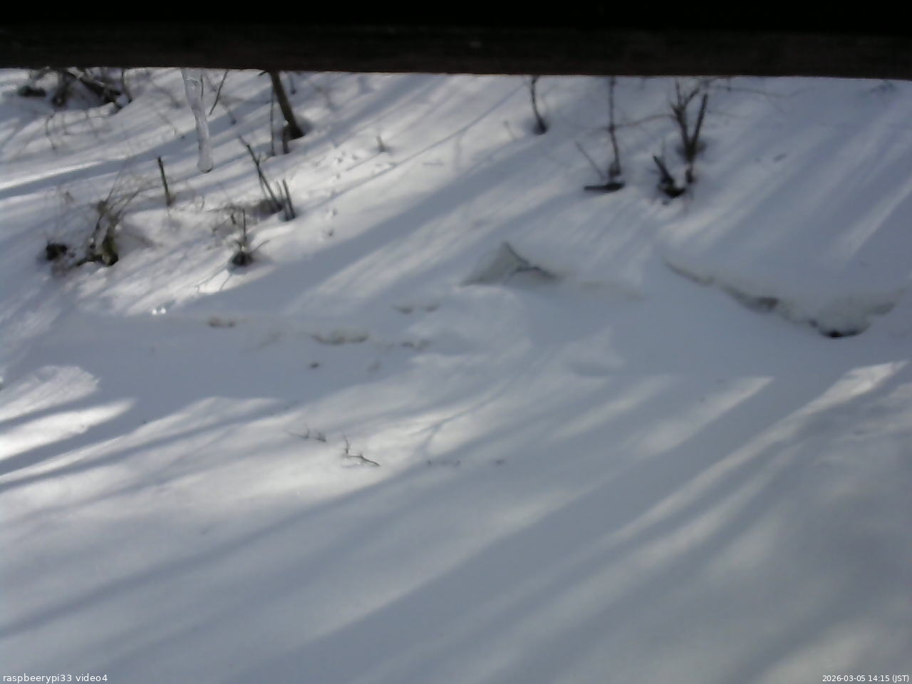 長野県菅平高原 ゆたか山荘 東側(坂下) 2026/03/05 14:15