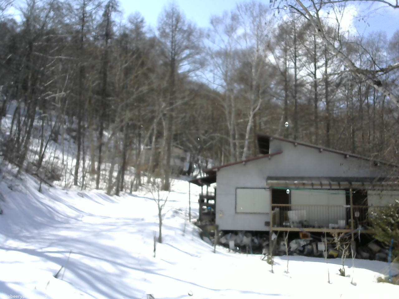 長野県菅平高原 ゆたか山荘 西側(坂上) 2026/03/05 13:30