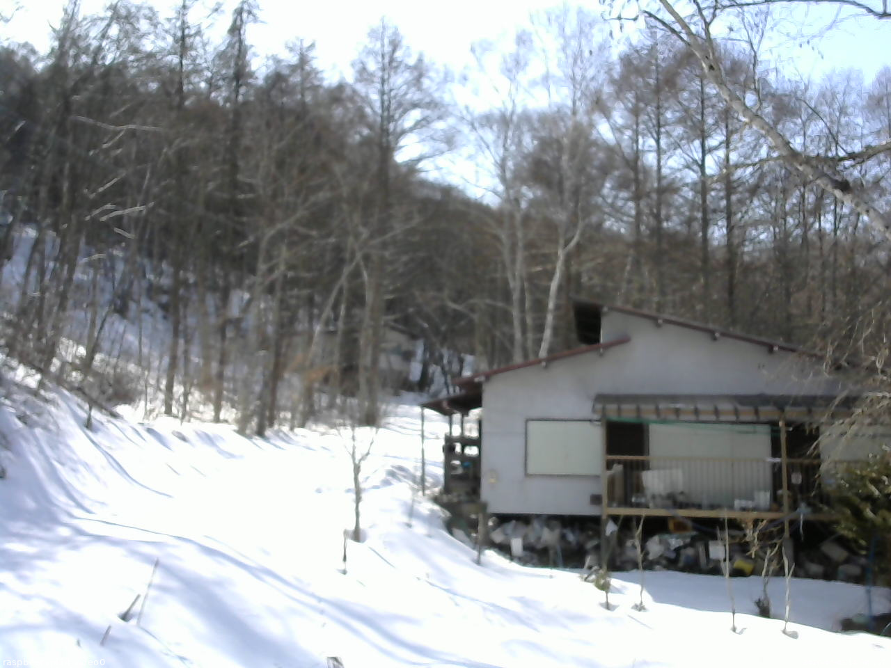 長野県菅平高原 ゆたか山荘 西側(坂上) 2026/03/05 14:30