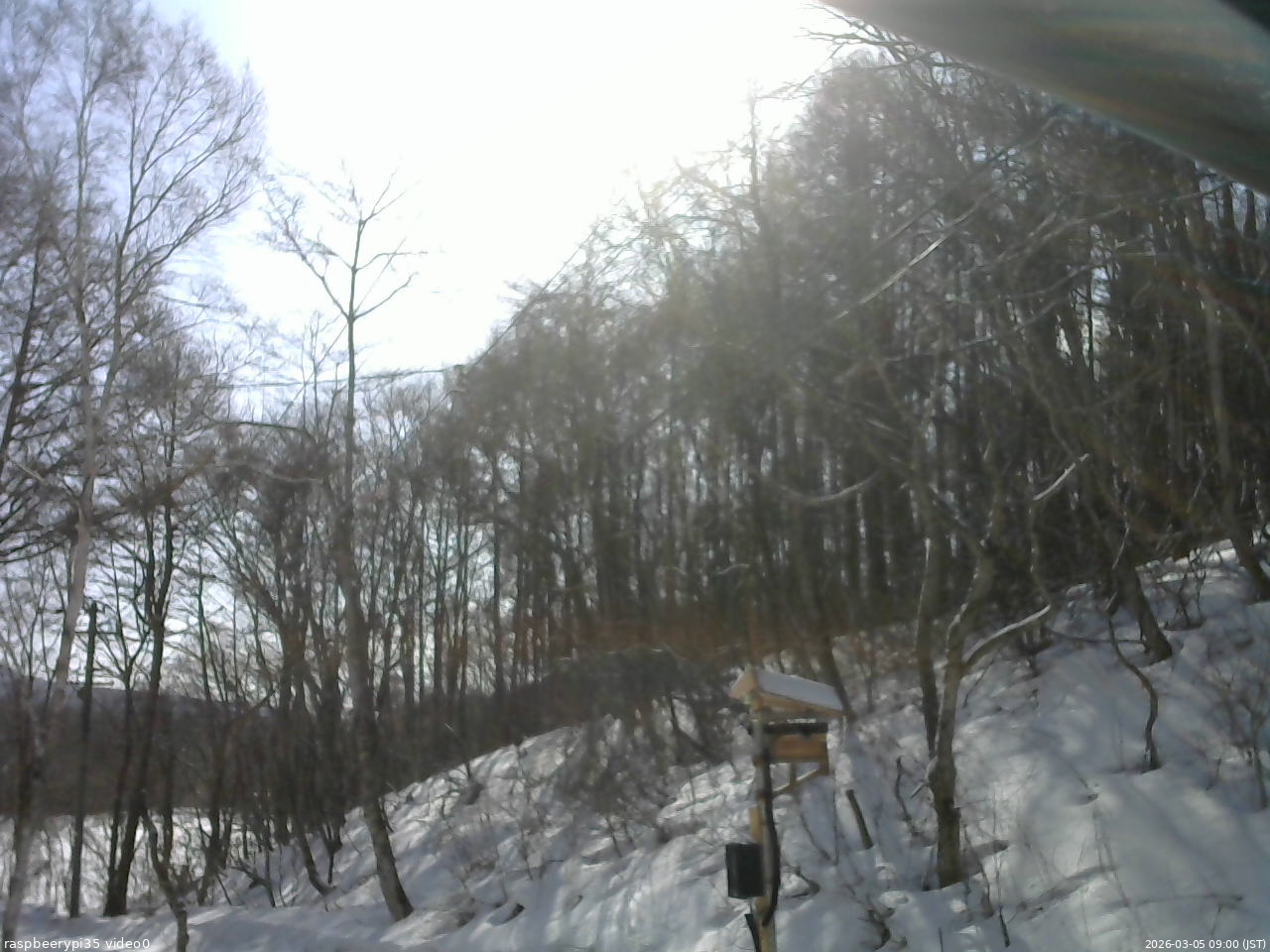 長野県菅平高原 ゆたか山荘 温度計 2026/03/05 09:00