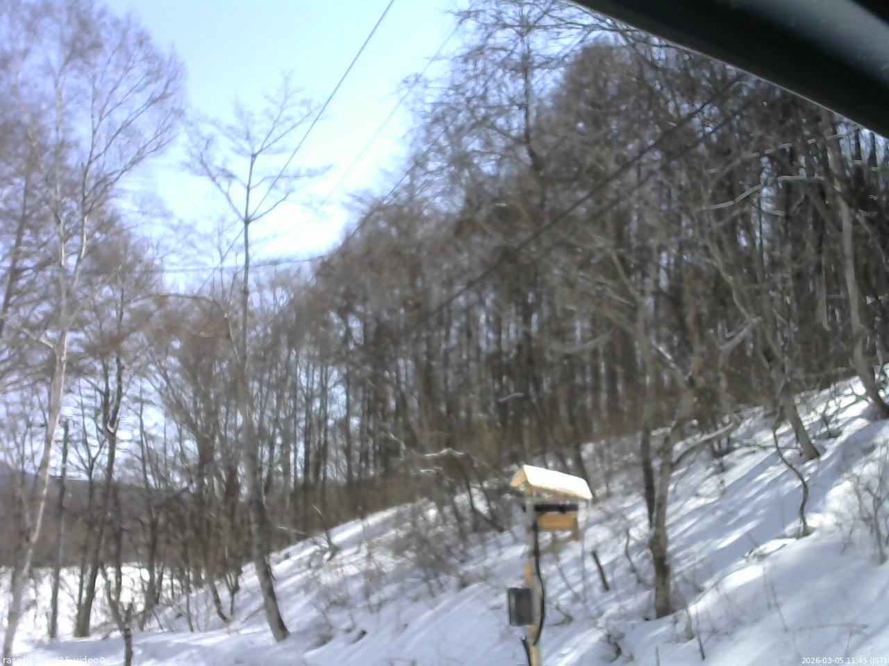長野県菅平高原 ゆたか山荘 温度計 2026/03/05 11:45