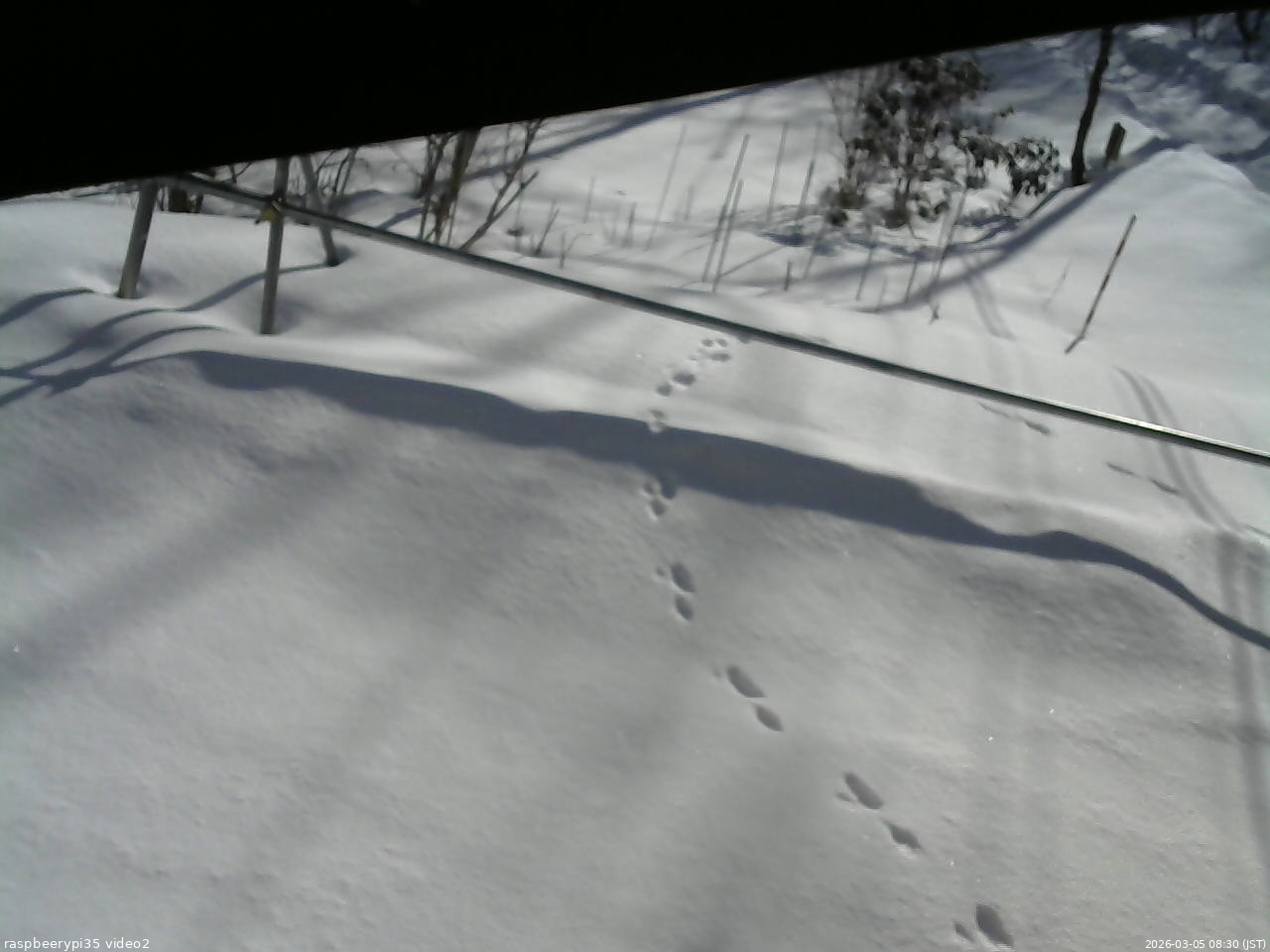 長野県菅平高原 ゆたか山荘 駐車場 2026/03/05 08:30
