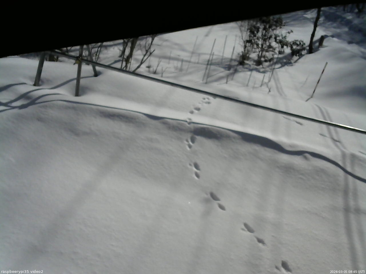 長野県菅平高原 ゆたか山荘 駐車場 2026/03/05 08:45