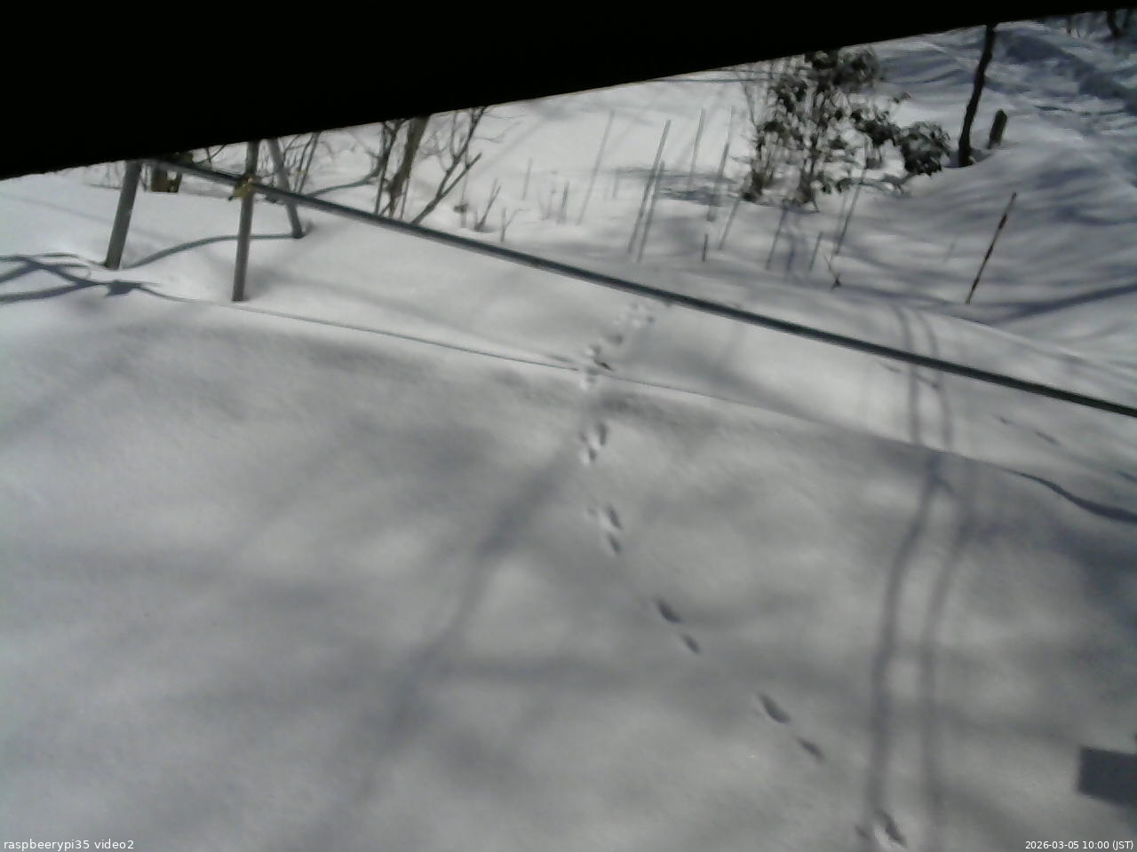 長野県菅平高原 ゆたか山荘 駐車場 2026/03/05 10:00