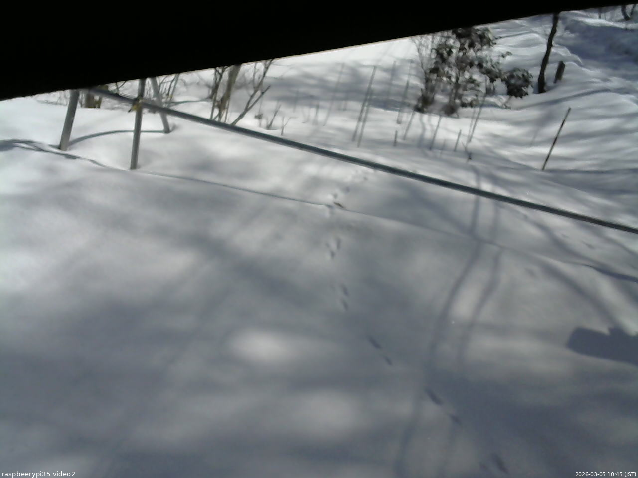 長野県菅平高原 ゆたか山荘 駐車場 2026/03/05 10:45