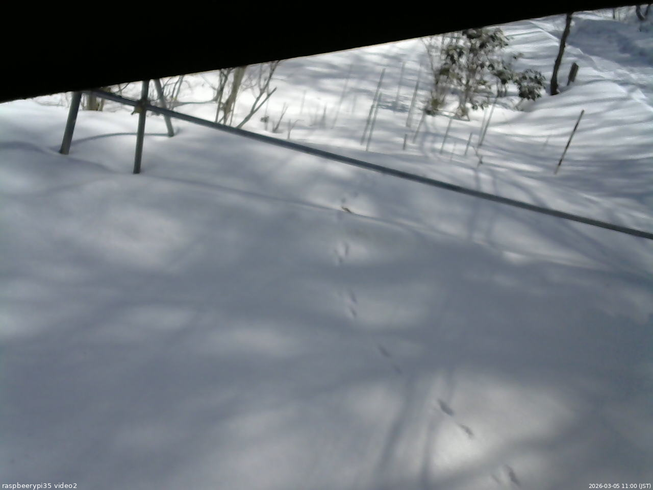 長野県菅平高原 ゆたか山荘 駐車場 2026/03/05 11:00