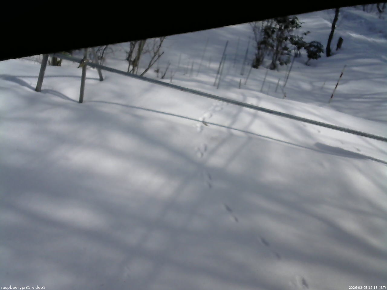 長野県菅平高原 ゆたか山荘 駐車場 2026/03/05 12:15