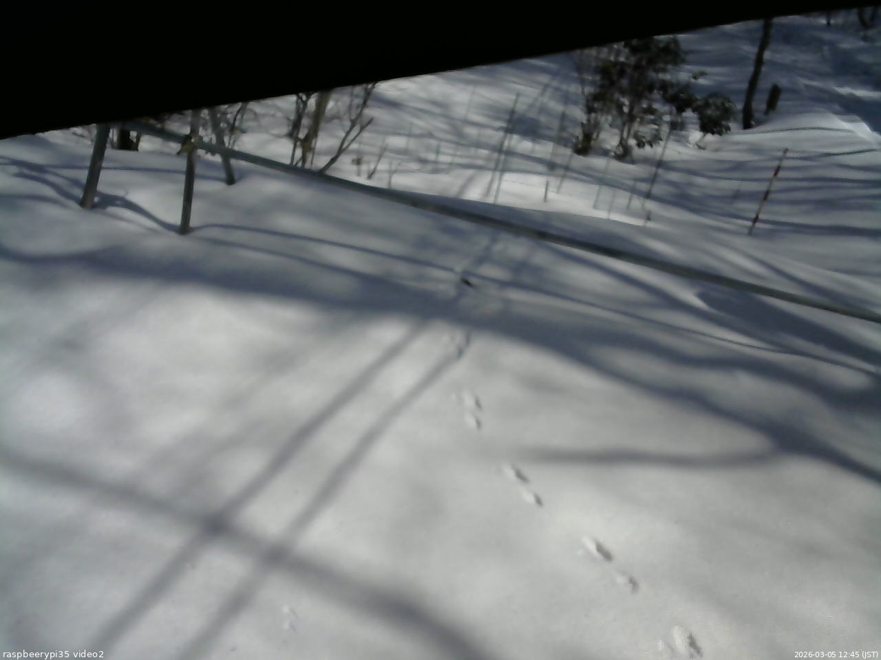 長野県菅平高原 ゆたか山荘 駐車場 2026/03/05 12:45