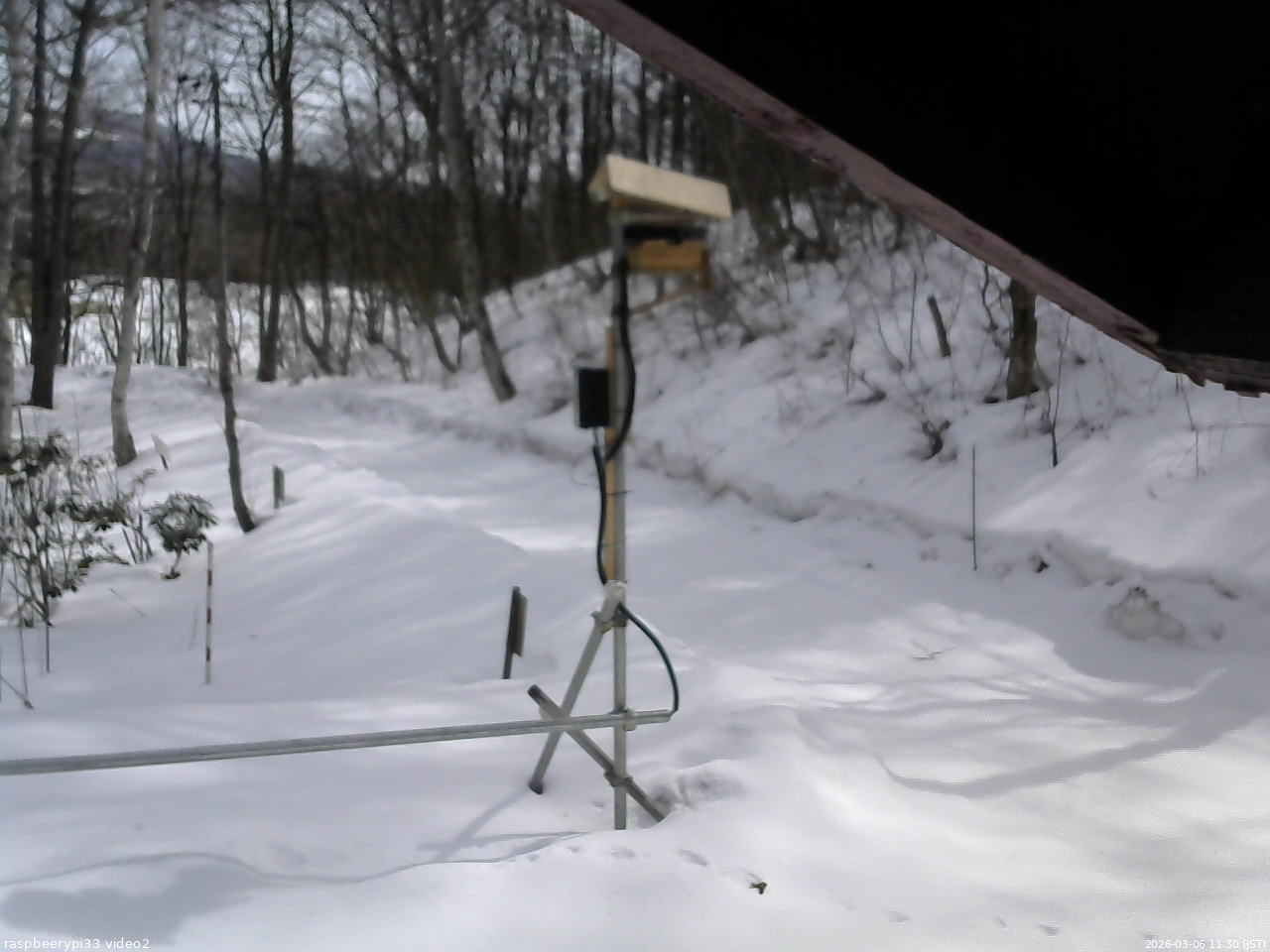 長野県菅平高原 ゆたか山荘 南側 2026/03/06 11:30