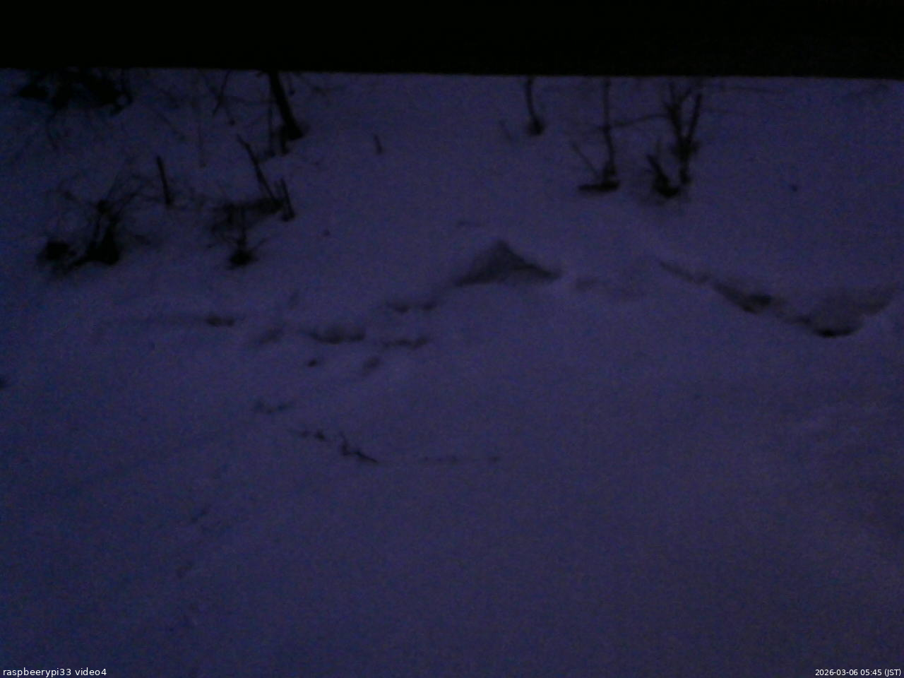長野県菅平高原 ゆたか山荘 東側(坂下) 2026/03/06 05:45