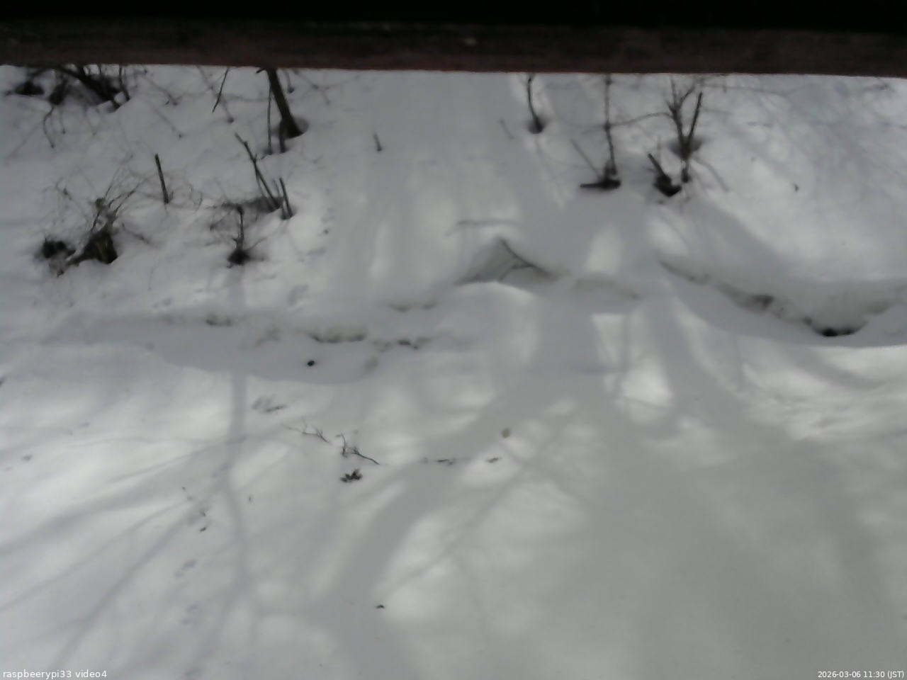 長野県菅平高原 ゆたか山荘 東側(坂下) 2026/03/06 11:30
