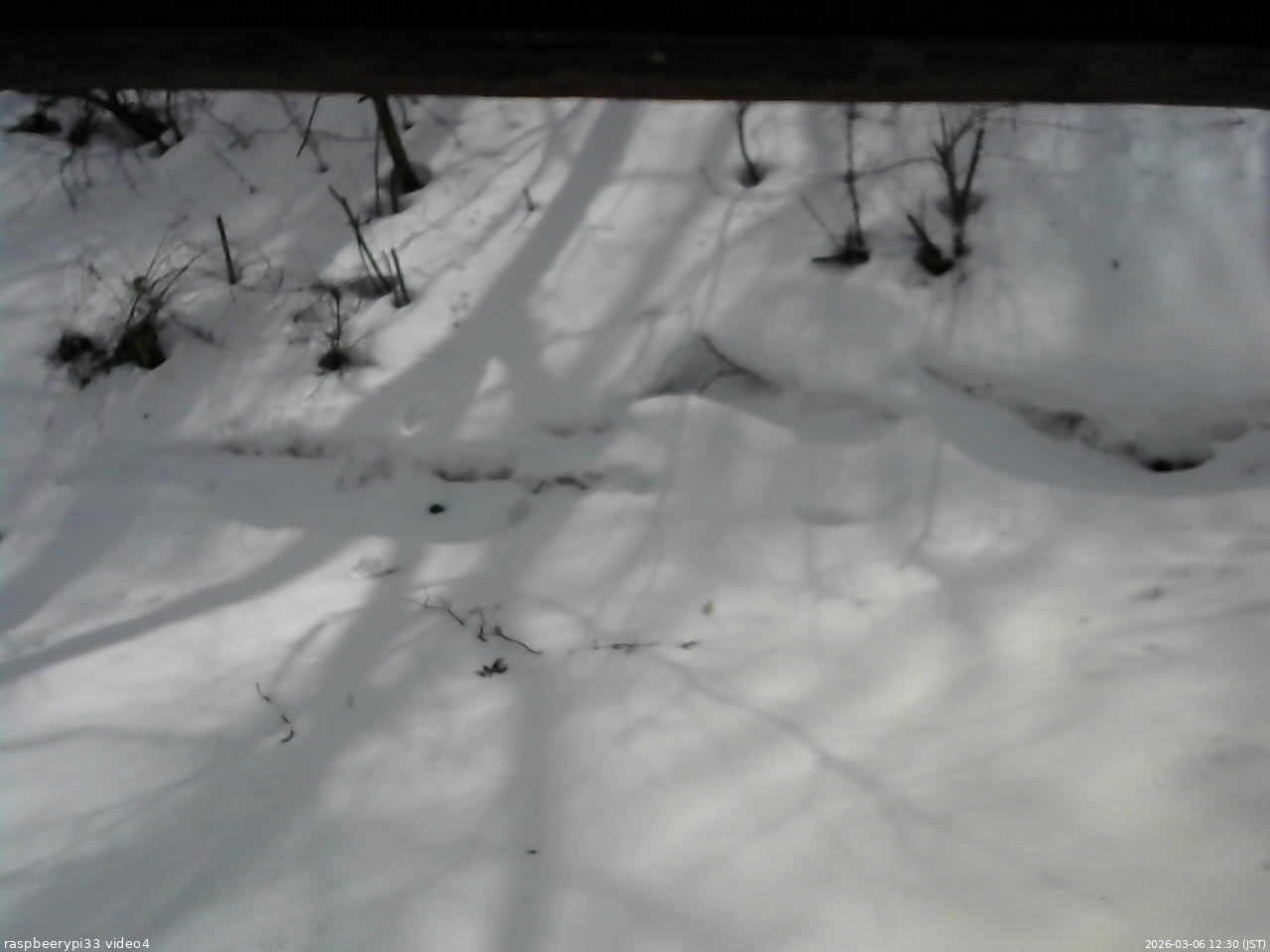 長野県菅平高原 ゆたか山荘 東側(坂下) 2026/03/06 12:30