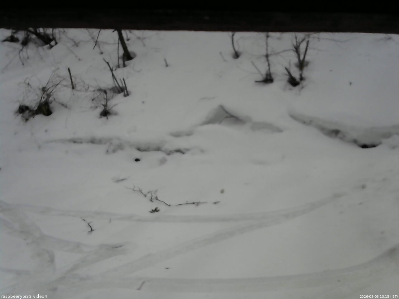長野県菅平高原 ゆたか山荘 東側(坂下) 2026/03/06 13:15