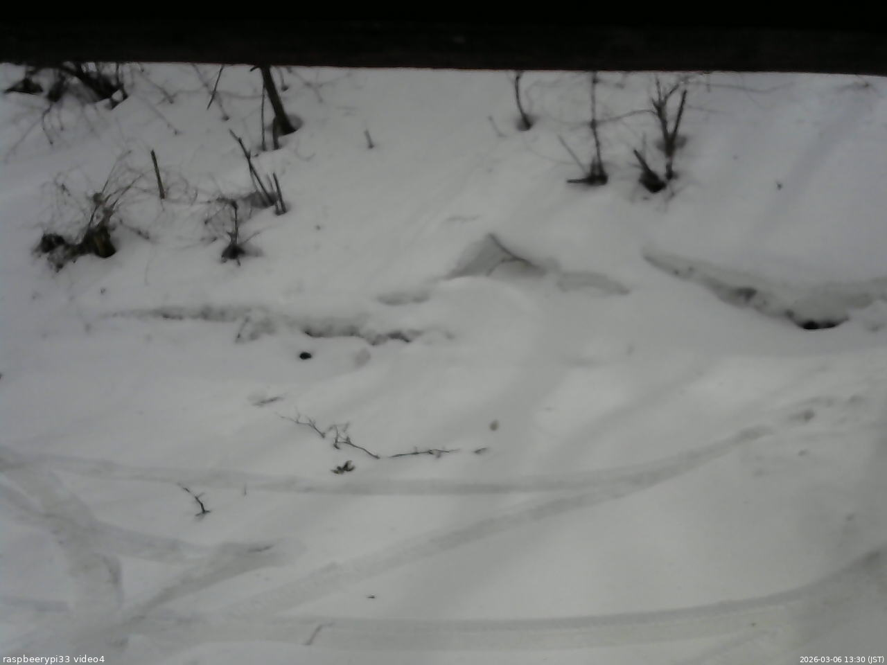 長野県菅平高原 ゆたか山荘 東側(坂下) 2026/03/06 13:30