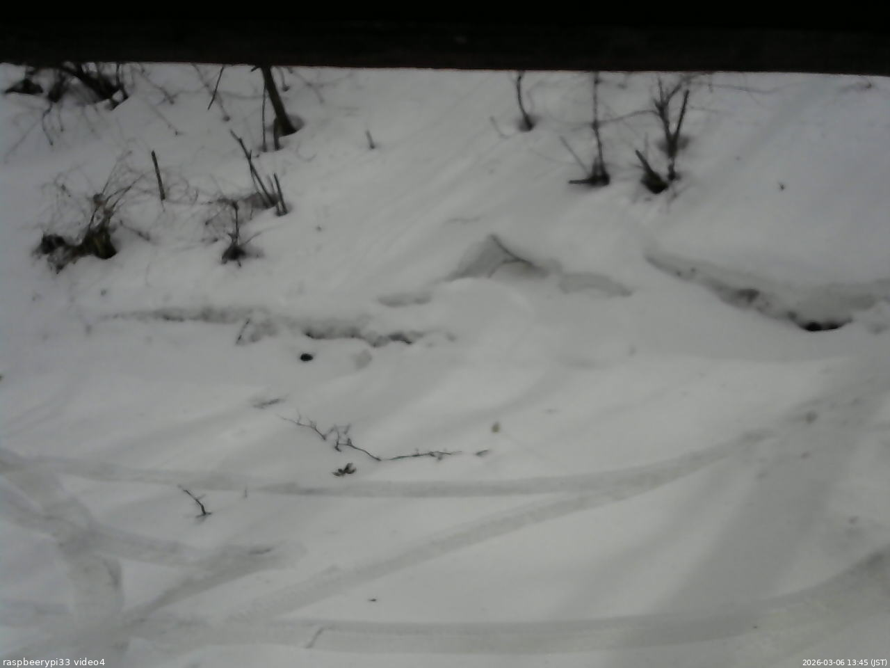 長野県菅平高原 ゆたか山荘 東側(坂下) 2026/03/06 13:45