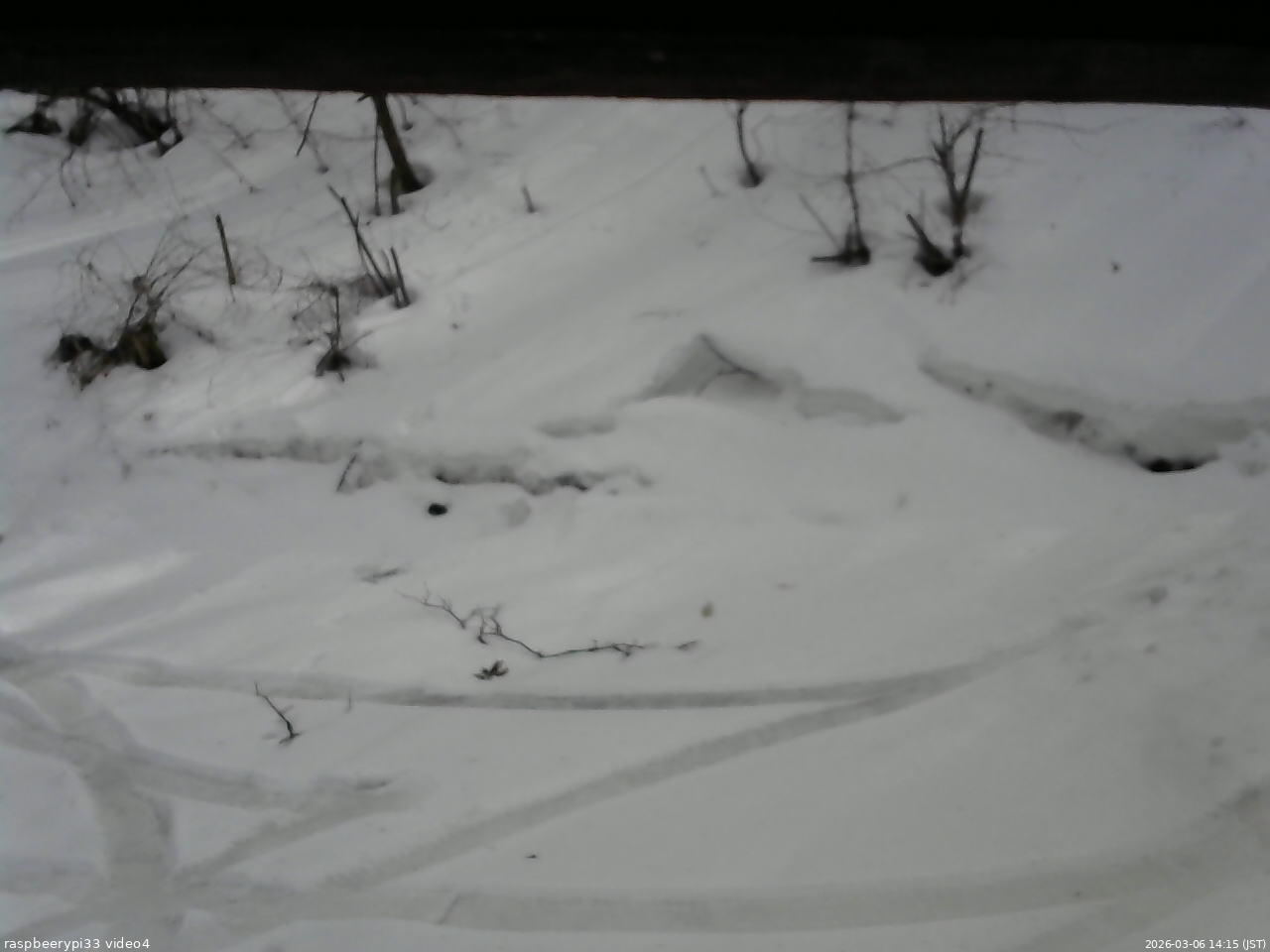 長野県菅平高原 ゆたか山荘 東側(坂下) 2026/03/06 14:15