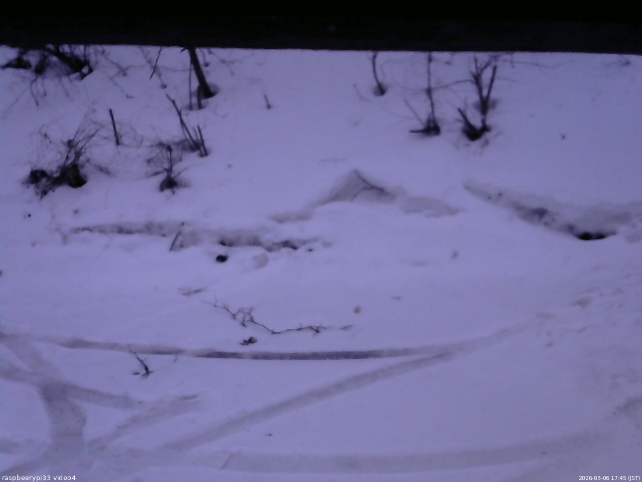 長野県菅平高原 ゆたか山荘 東側(坂下) 2026/03/06 17:45
