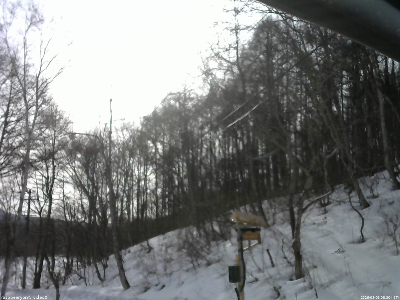 長野県菅平高原 ゆたか山荘 温度計 2026/03/06 08:30