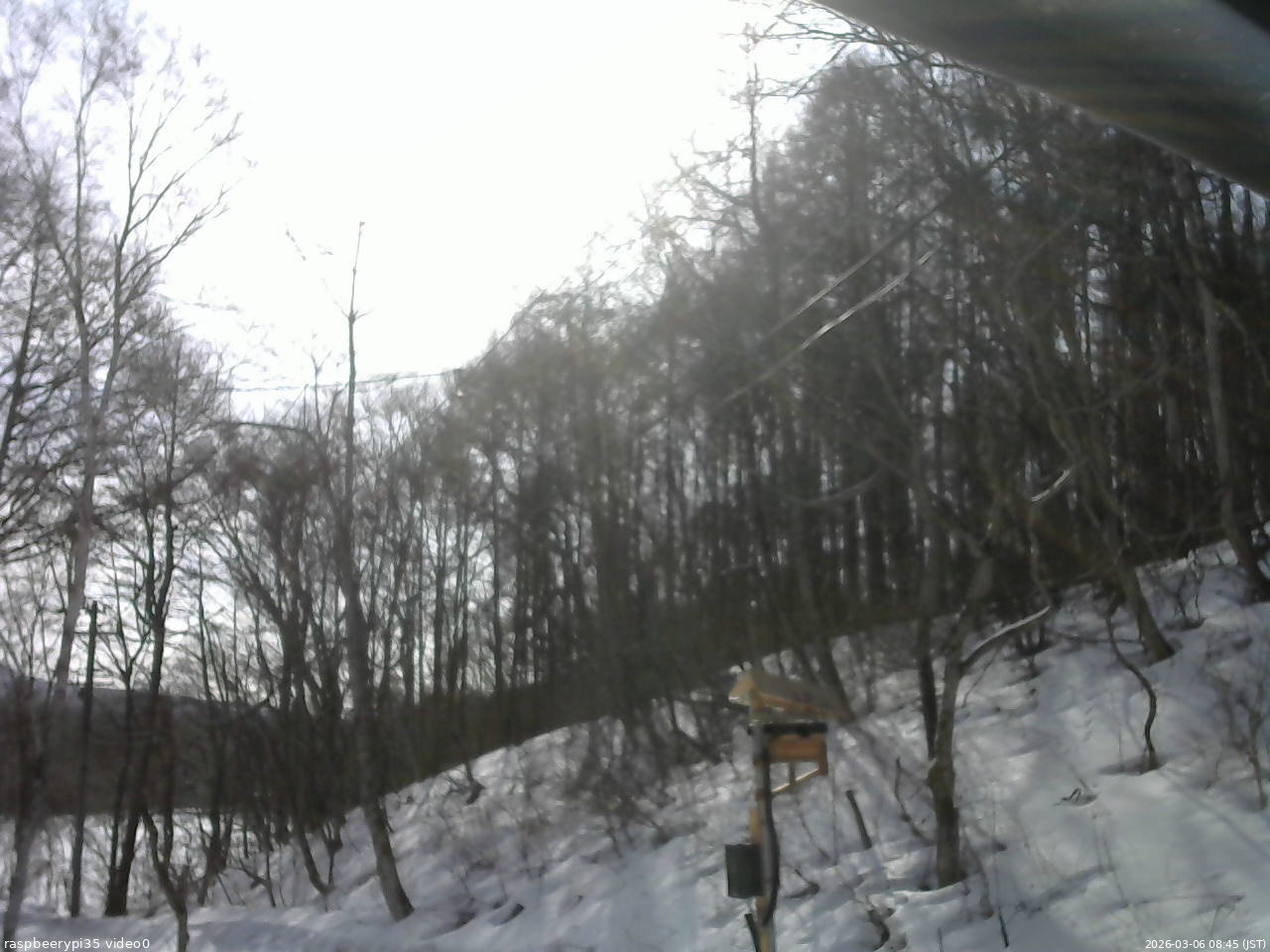 長野県菅平高原 ゆたか山荘 温度計 2026/03/06 08:45