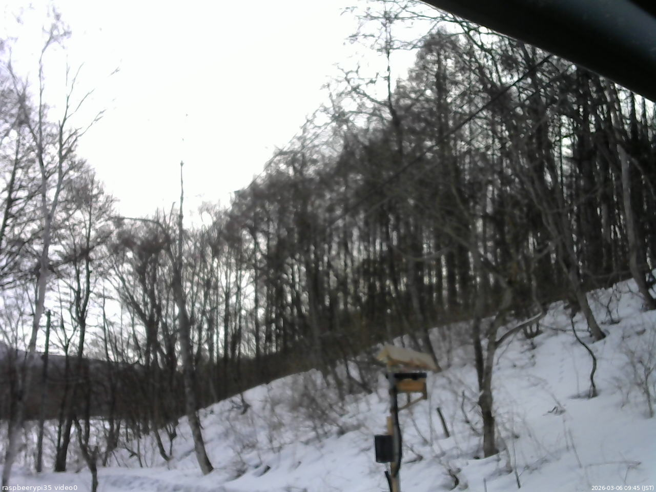 長野県菅平高原 ゆたか山荘 温度計 2026/03/06 09:45