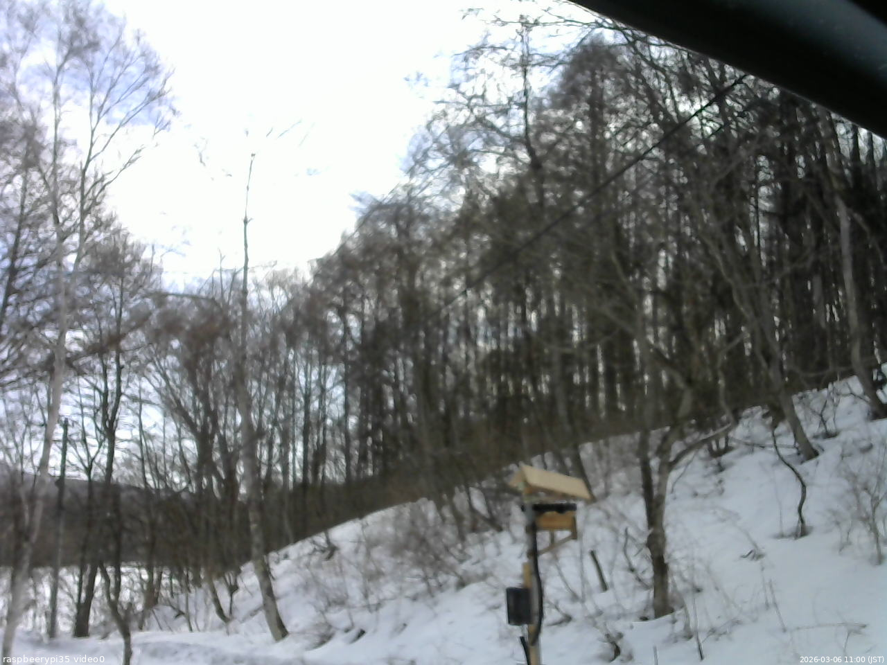 長野県菅平高原 ゆたか山荘 温度計 2026/03/06 11:00