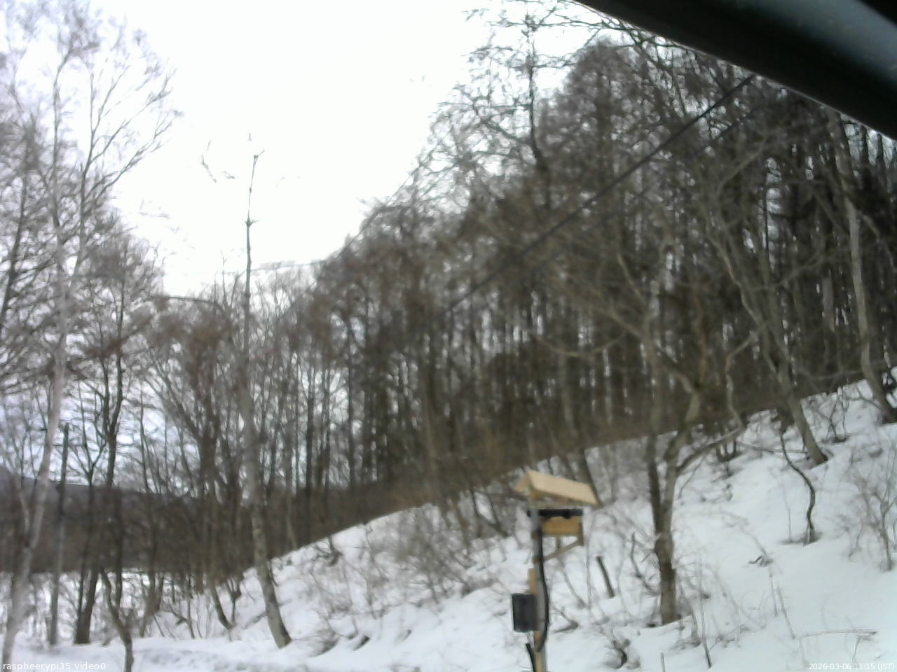 長野県菅平高原 ゆたか山荘 温度計 2026/03/06 11:15