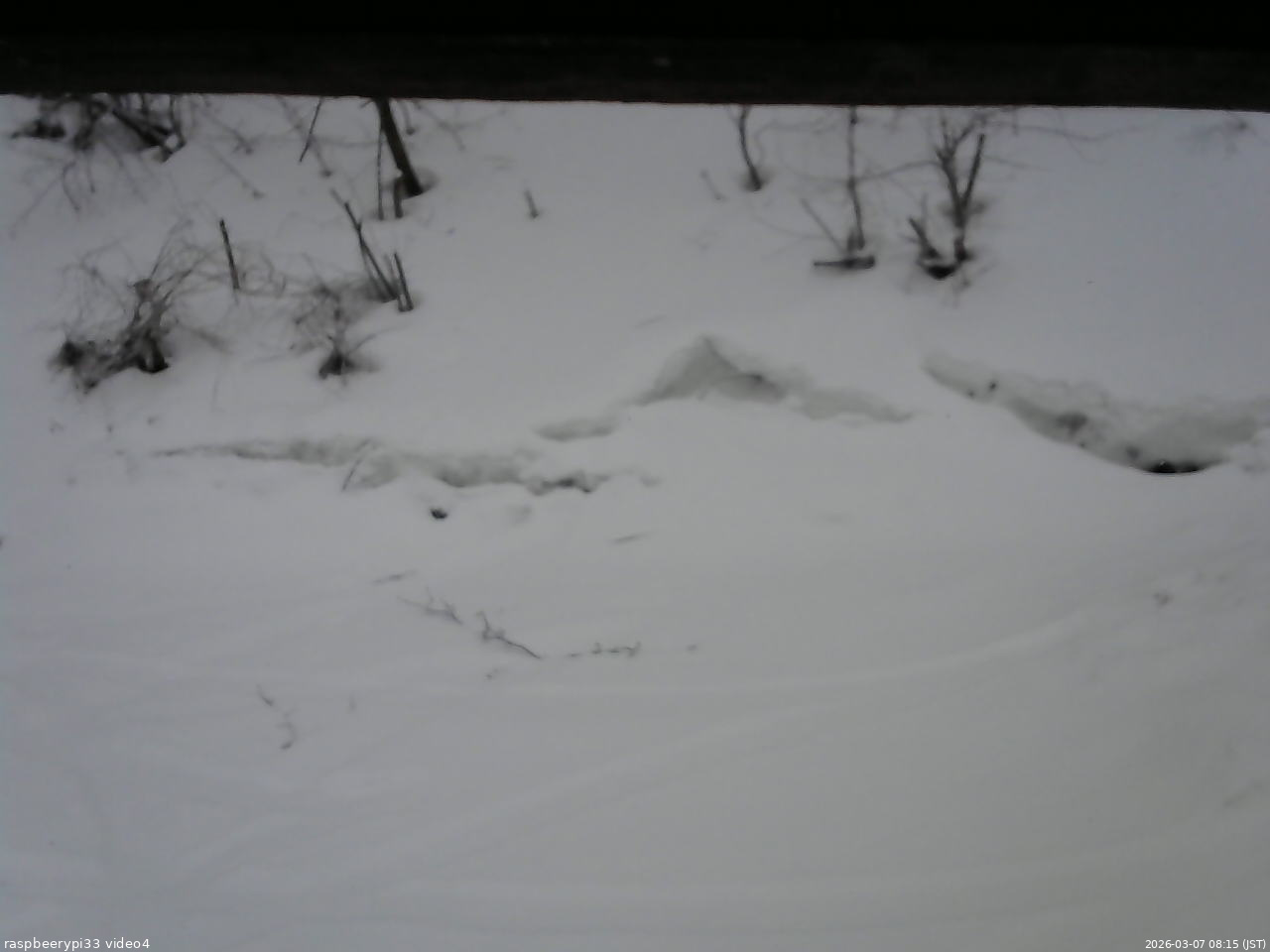 長野県菅平高原 ゆたか山荘 東側(坂下) 2026/03/07 08:15