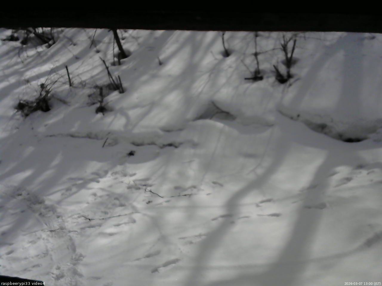 長野県菅平高原 ゆたか山荘 東側(坂下) 2026/03/07 13:00