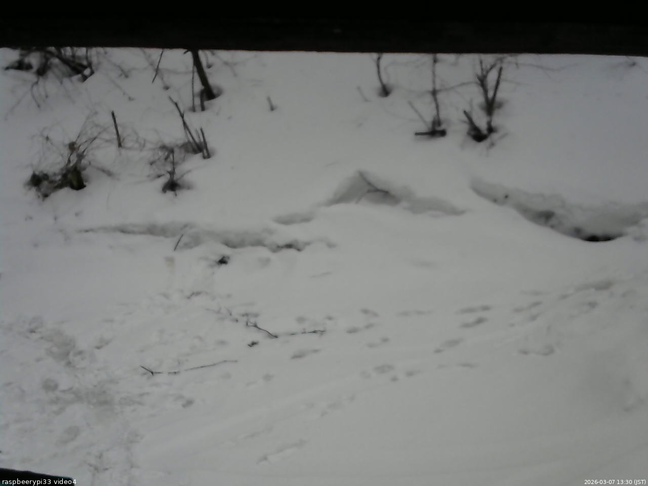 長野県菅平高原 ゆたか山荘 東側(坂下) 2026/03/07 13:30