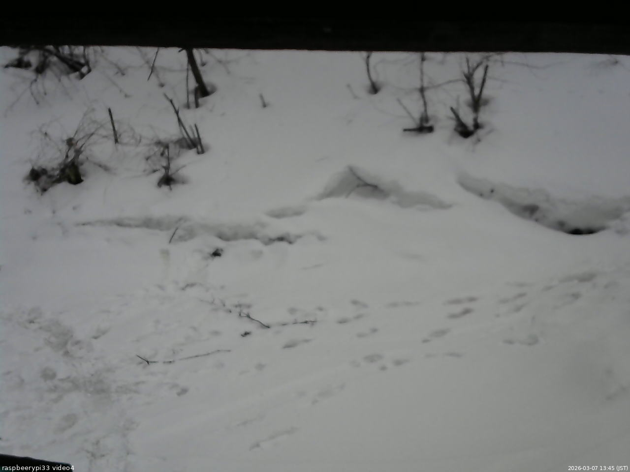長野県菅平高原 ゆたか山荘 東側(坂下) 2026/03/07 13:45