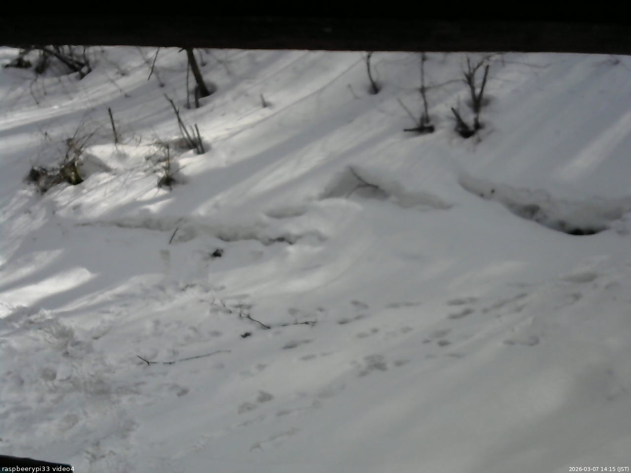長野県菅平高原 ゆたか山荘 東側(坂下) 2026/03/07 14:15