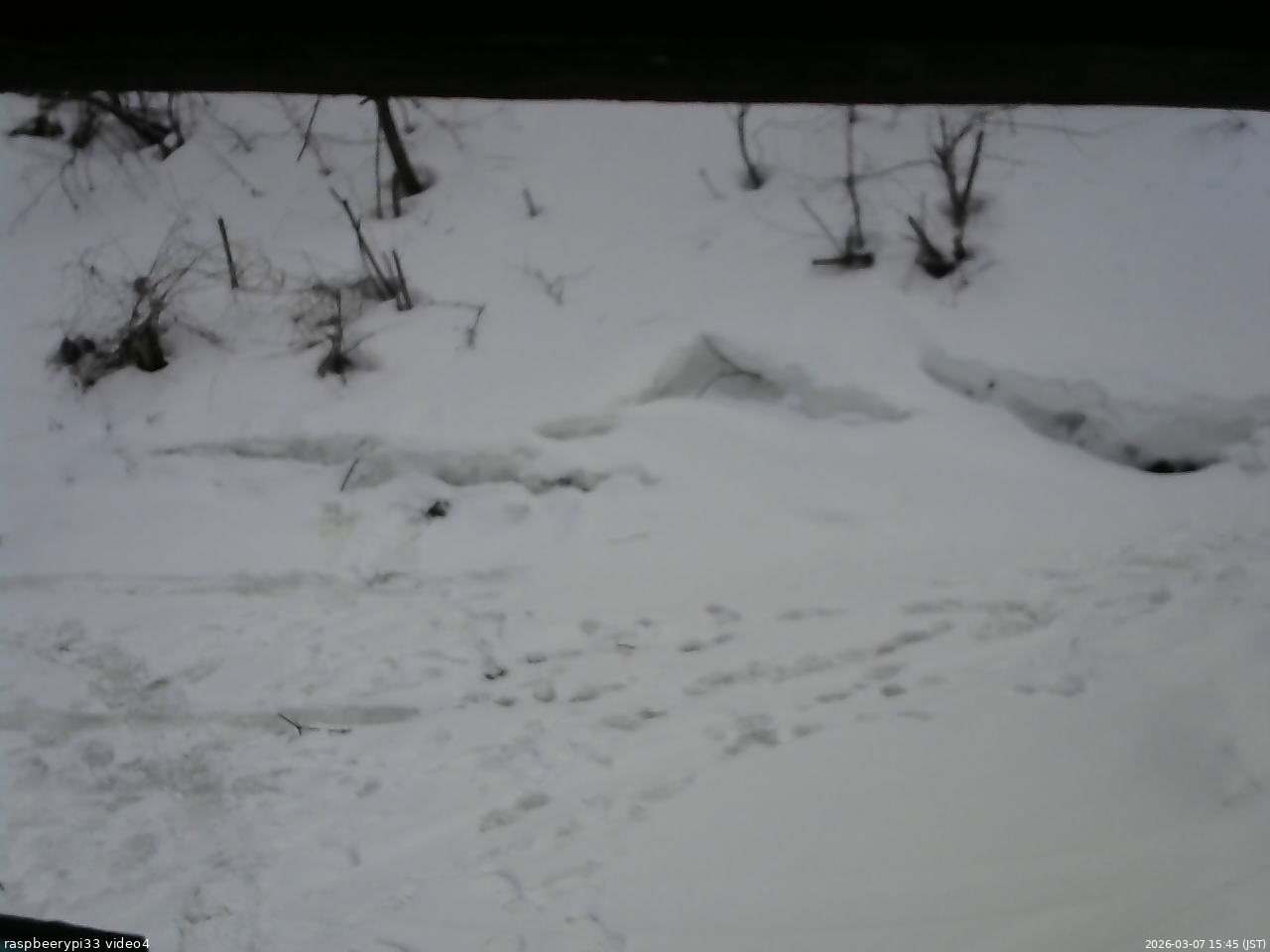長野県菅平高原 ゆたか山荘 東側(坂下) 2026/03/07 15:45