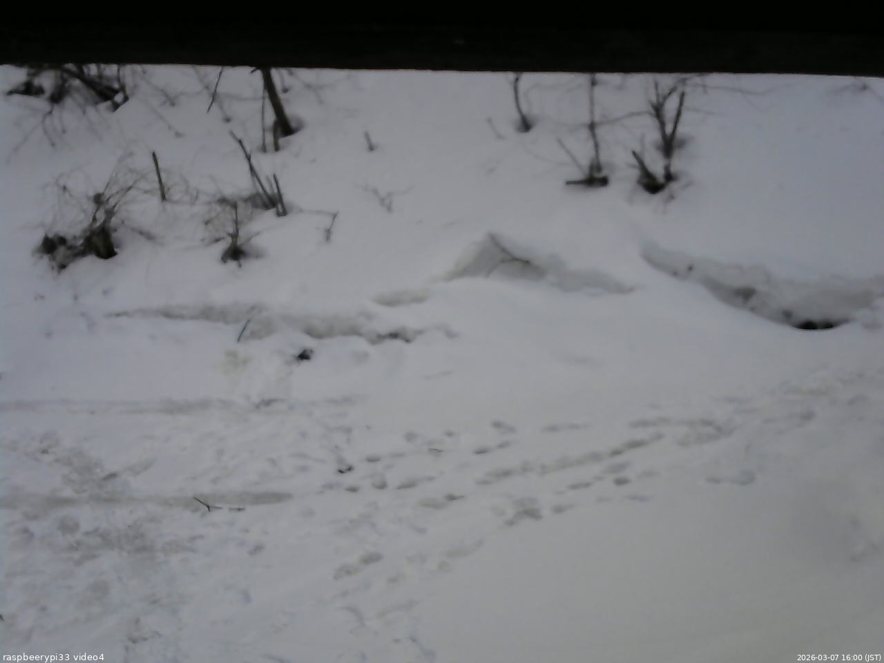 長野県菅平高原 ゆたか山荘 東側(坂下) 2026/03/07 16:00