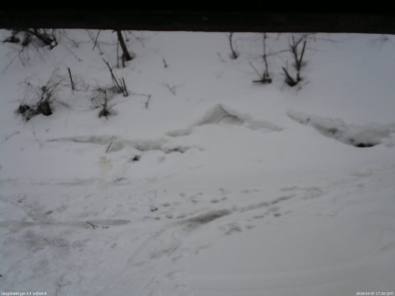 長野県菅平高原 ゆたか山荘 東側(坂下) 2026/03/07 17:30
