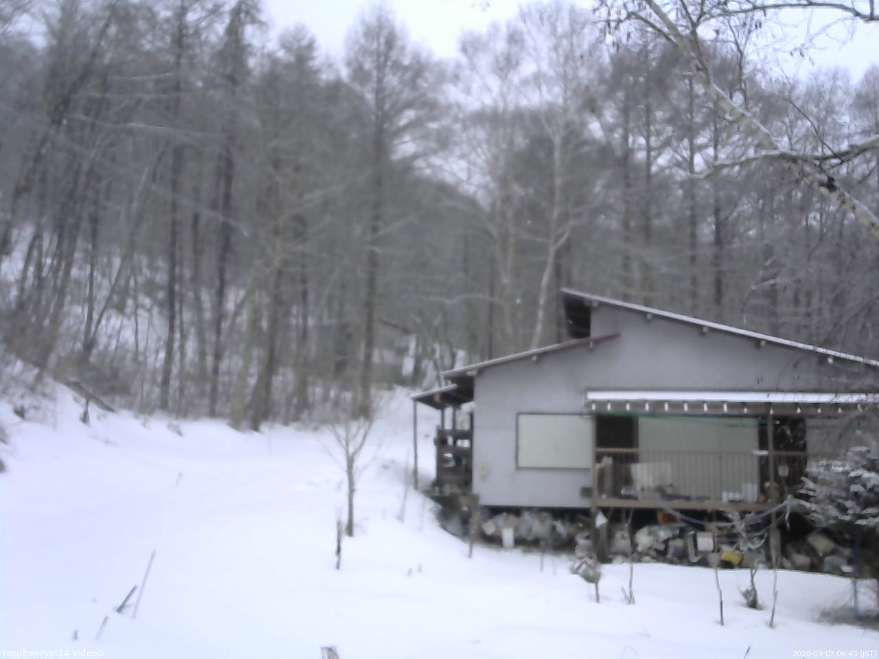 長野県菅平高原 ゆたか山荘 西側(坂上) 2026/03/07 06:45