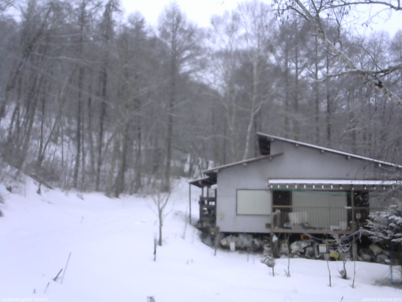 長野県菅平高原 ゆたか山荘 西側(坂上) 2026/03/07 07:45