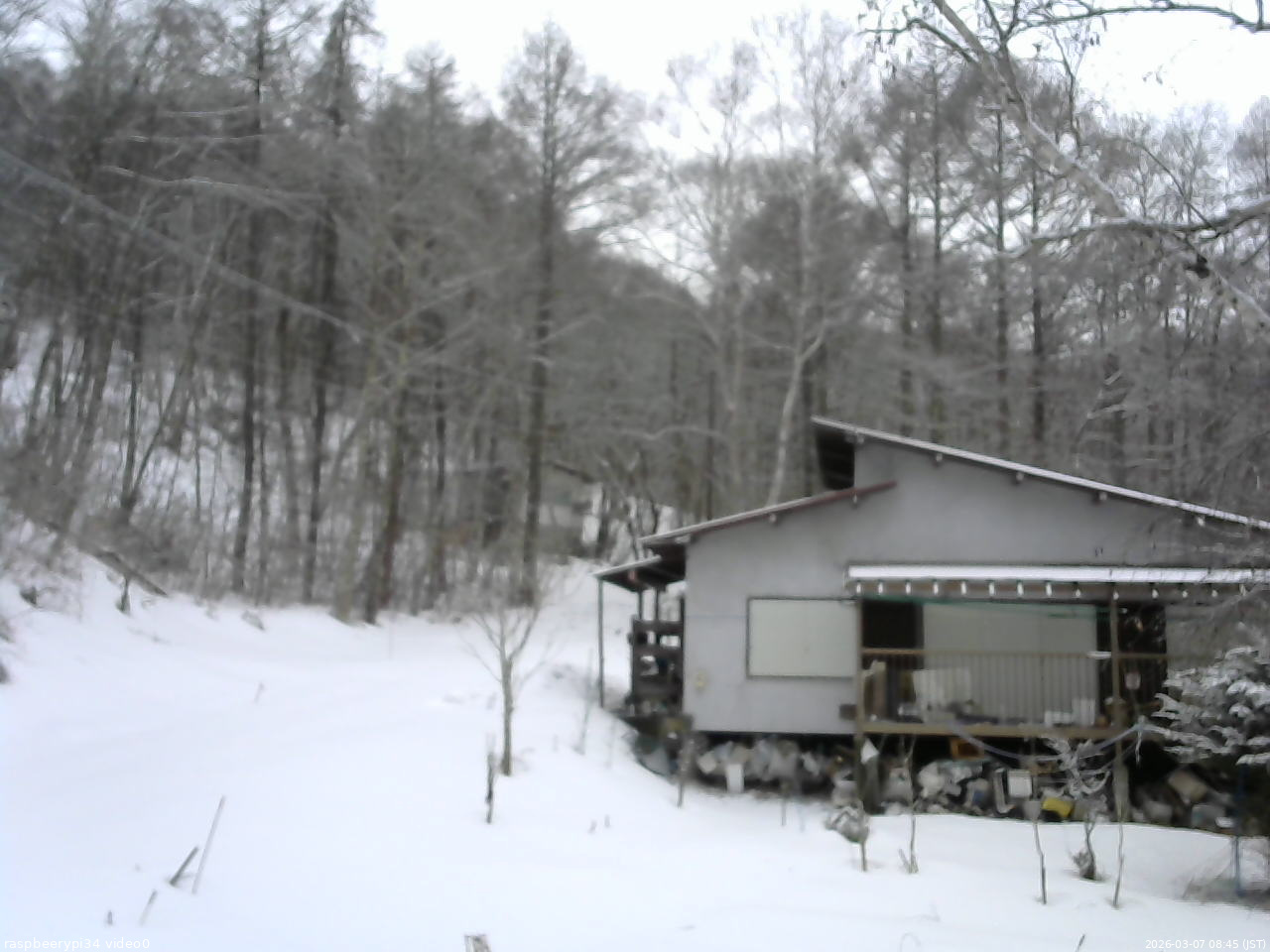 長野県菅平高原 ゆたか山荘 西側(坂上) 2026/03/07 08:45