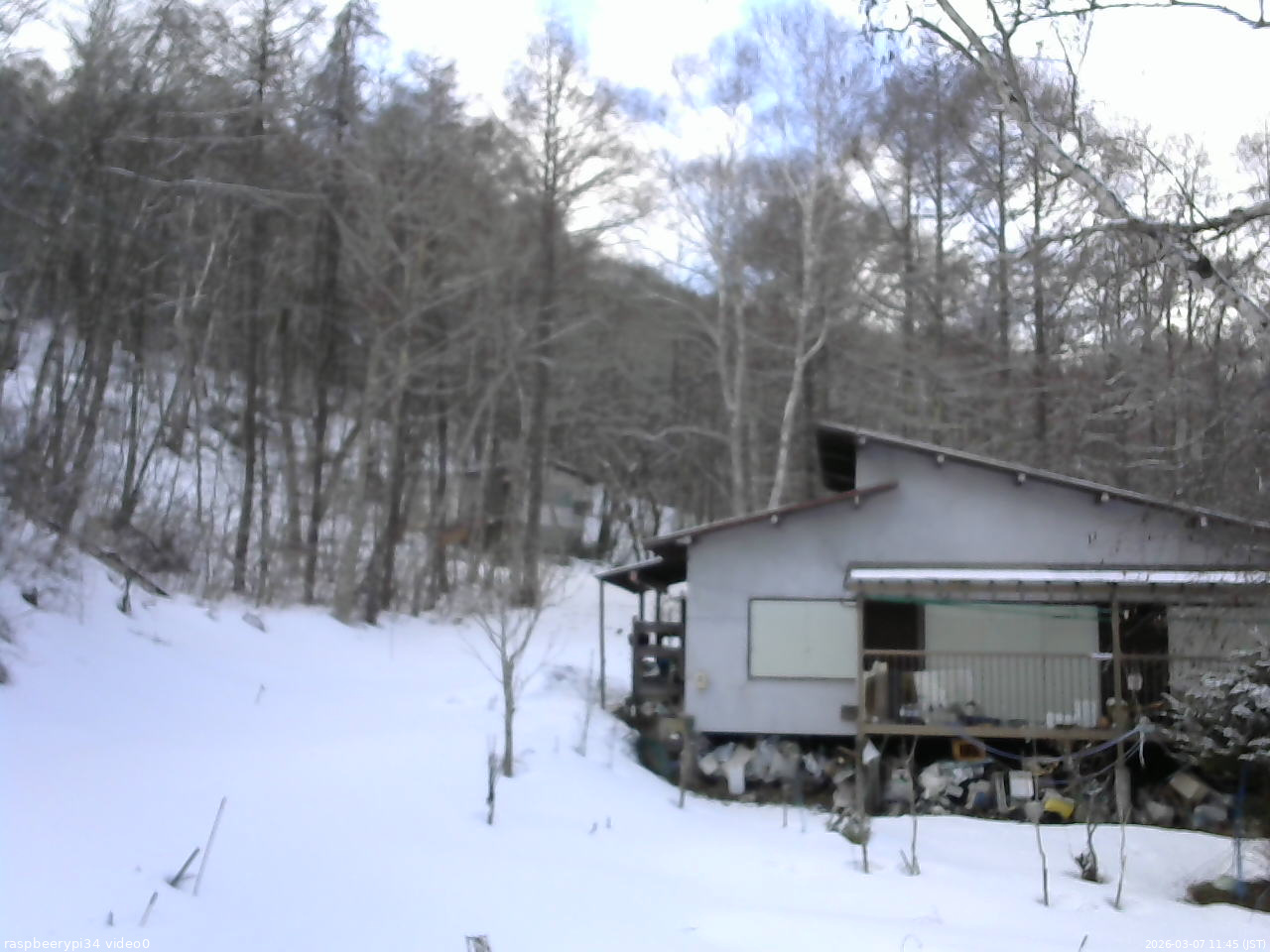 長野県菅平高原 ゆたか山荘 西側(坂上) 2026/03/07 11:45