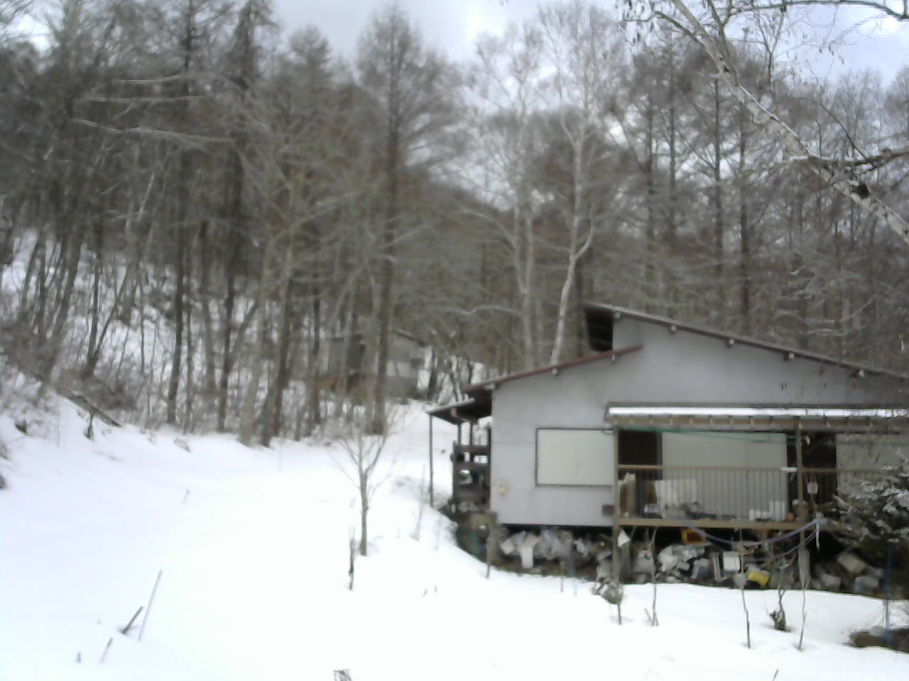 長野県菅平高原 ゆたか山荘 西側(坂上) 2026/03/07 12:00