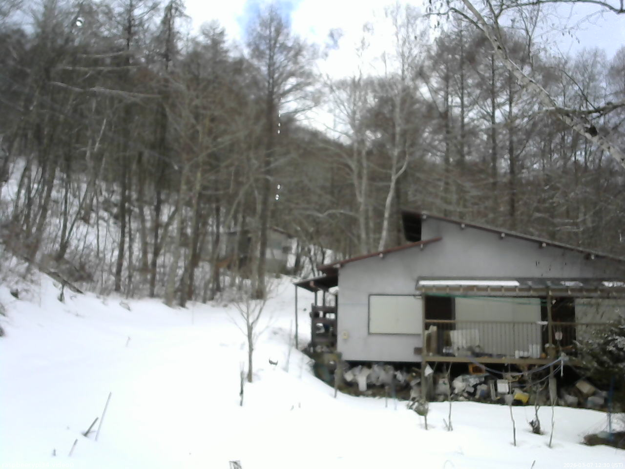 長野県菅平高原 ゆたか山荘 西側(坂上) 2026/03/07 12:30
